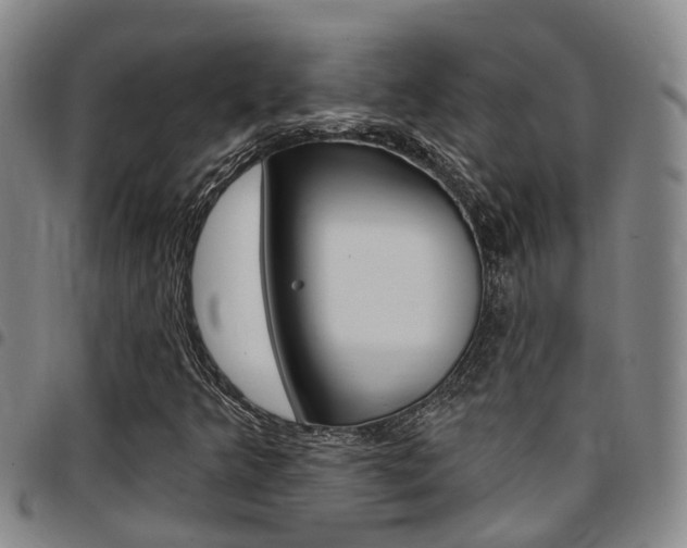 X0000097831349200803140819