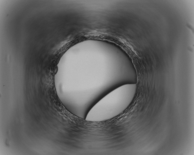 X0000097831350200803140819