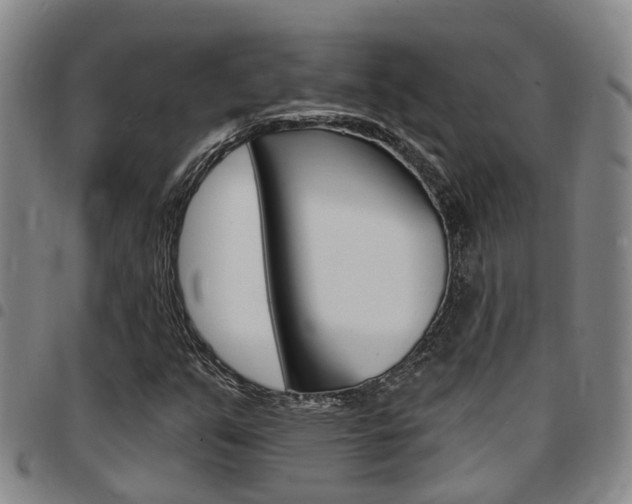 X0000097831351200803140819