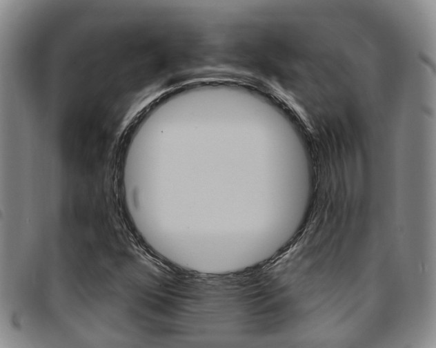 X0000097831352200803140819
