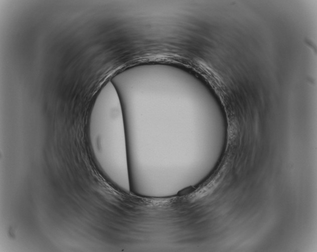 X0000097831353200803140819