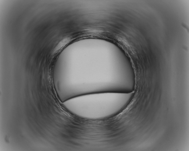 X0000097831354200803140819