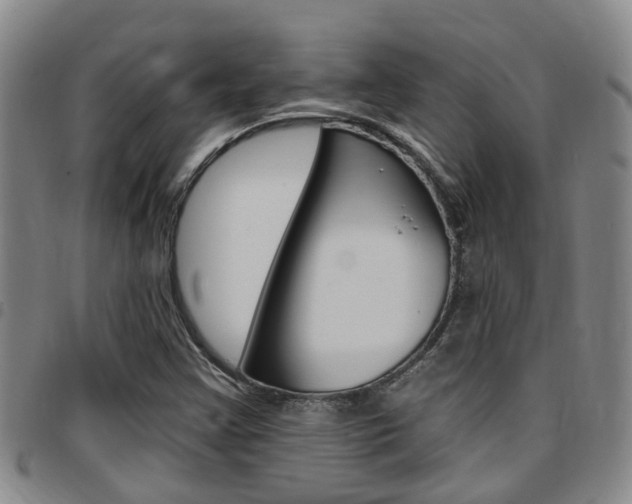 X0000097831355200803140819