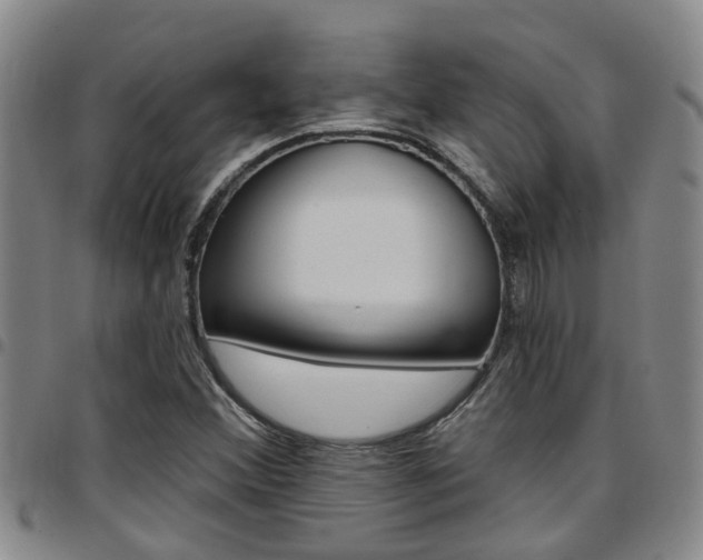 X0000097831356200803140819