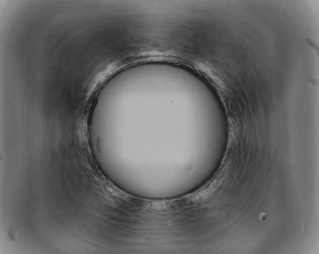 X0000097831357200803140819