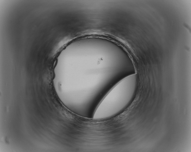 X0000097831359200803140819