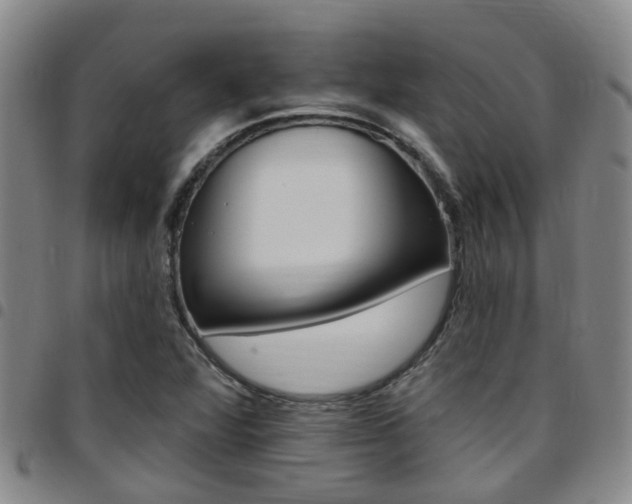 X0000097831360200803140819