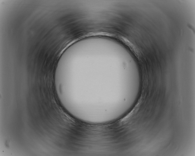 X0000097831361200803140819