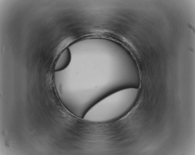 X0000097831362200803140819