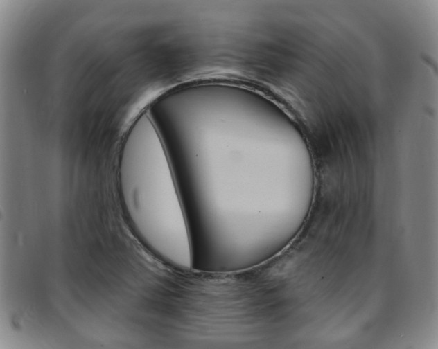 X0000097831363200803140819