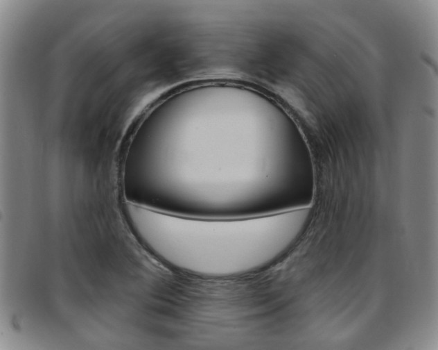 X0000097831364200803140819