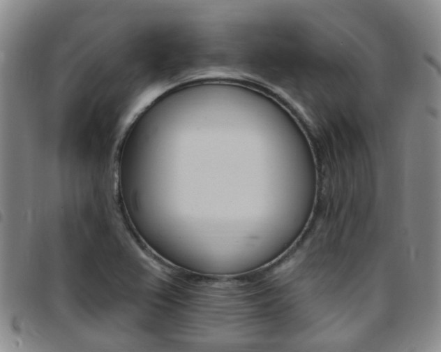 X0000097831367200803140818