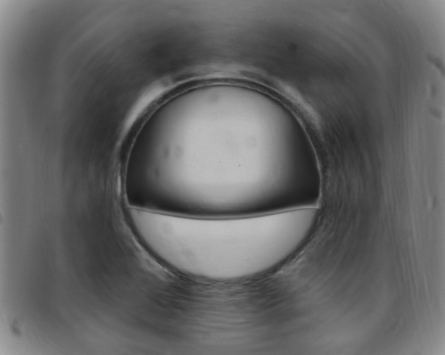 X0000097831368200803140818