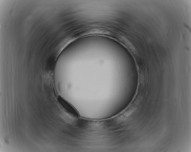 X0000097831369200803140818
