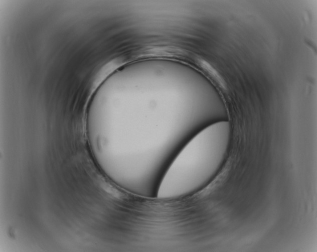 X0000097831370200803140818