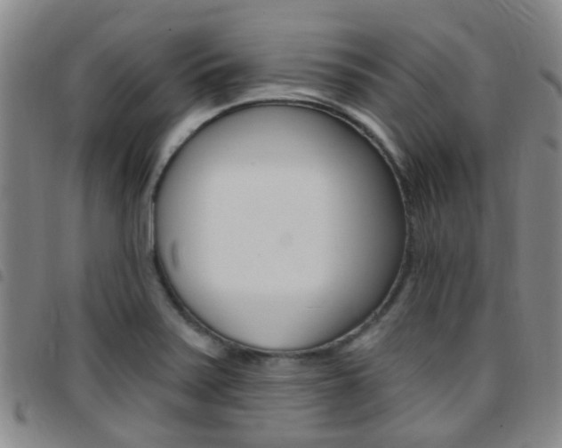 X0000097831371200803140818