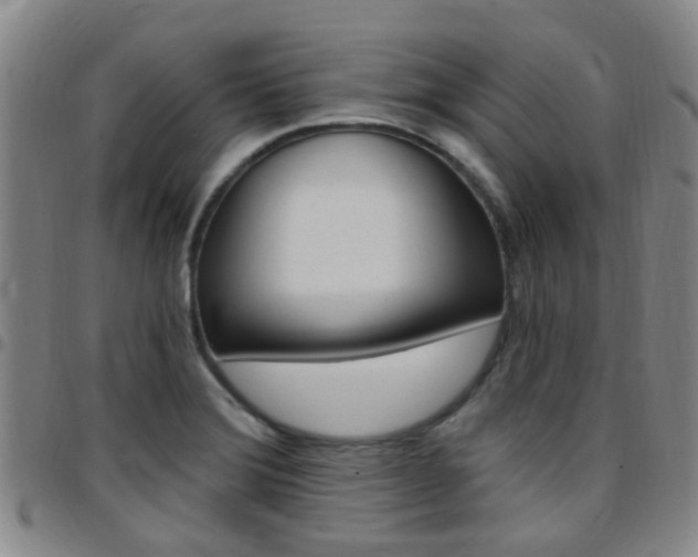 X0000097831372200803140818