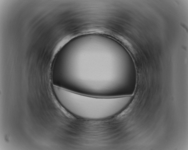 X0000097831373200803140818