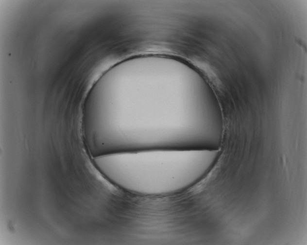 X0000097831374200803140818