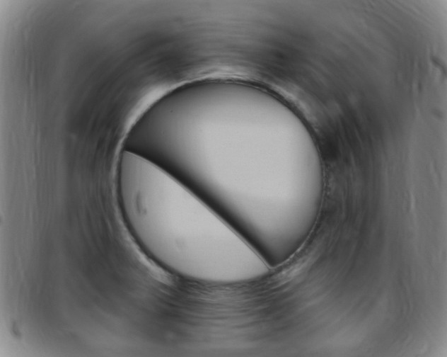 X0000097831375200803140818