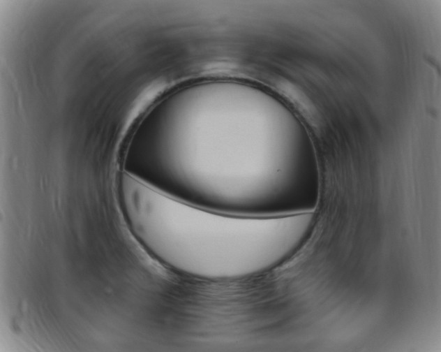 X0000097831376200803140818