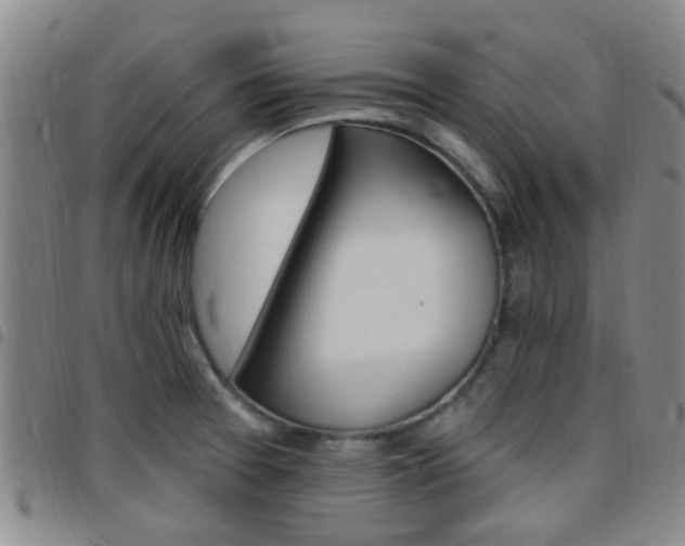 X0000097831377200803140818