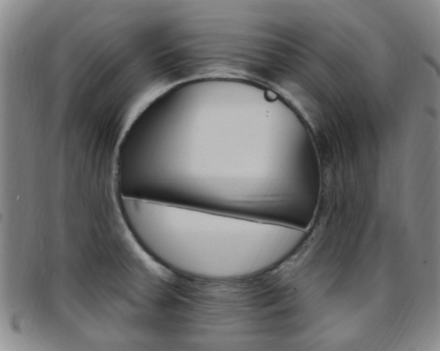 X0000097831379200803140818