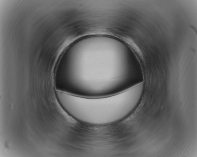 X0000097831380200803140818