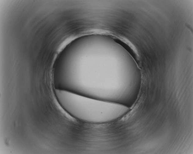X0000097831381200803140818