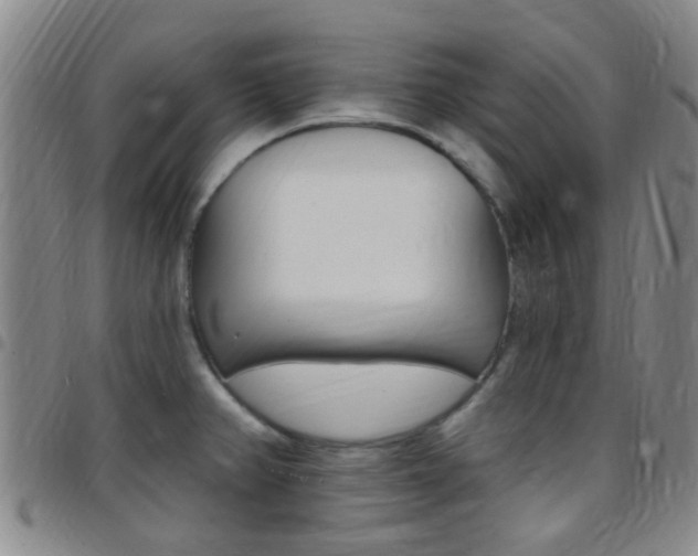 X0000097831382200803140818