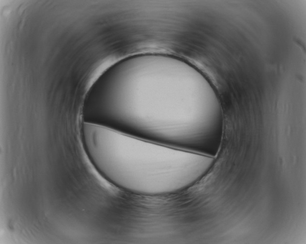 X0000097831383200803140818