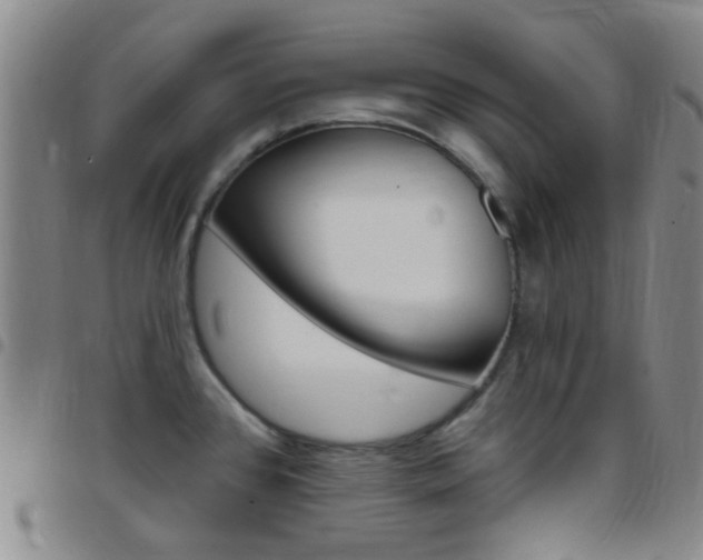 X0000097831384200803140818