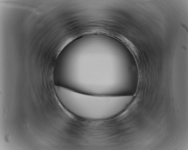 X0000097831385200803140818