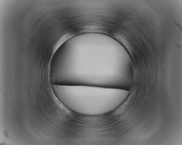 X0000097831386200803140818