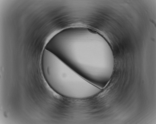 X0000097831387200803140818