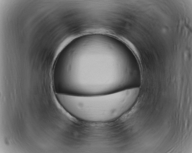 X0000097831389200803140818