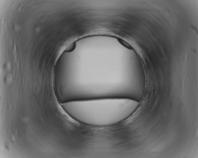 X0000097831390200803140818