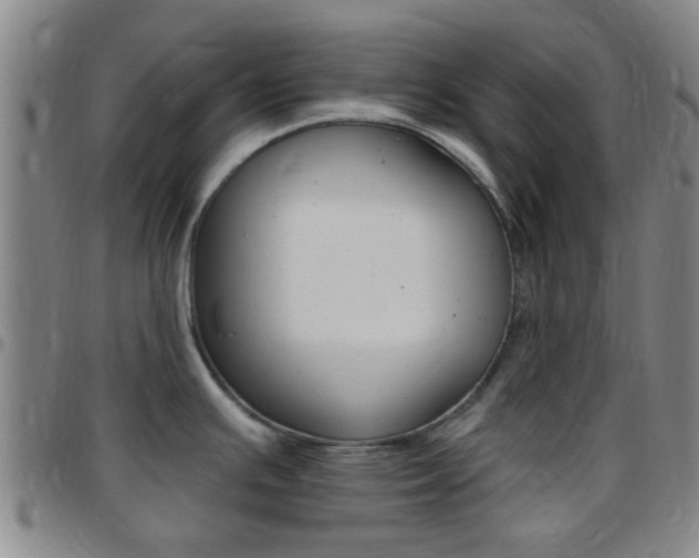 X0000097831391200803140818