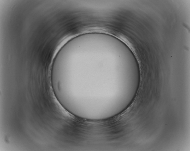 X0000097831392200803140818