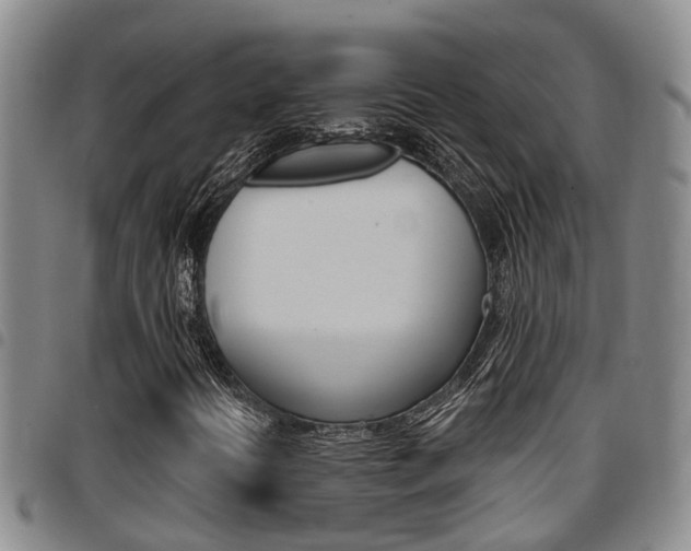 X0000097831394200803140817