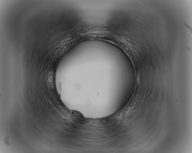 X0000097831396200803140817
