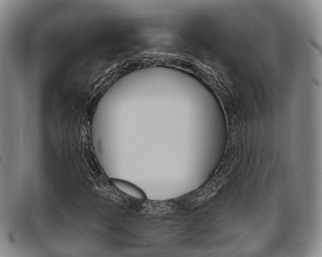 X0000097831397200803140817