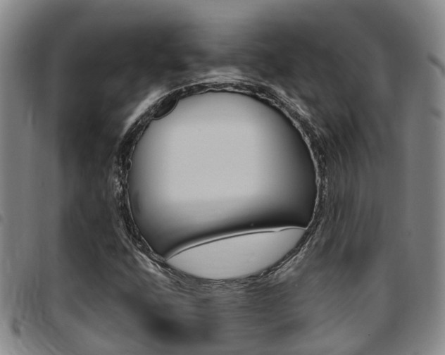 X0000097831400200803140817