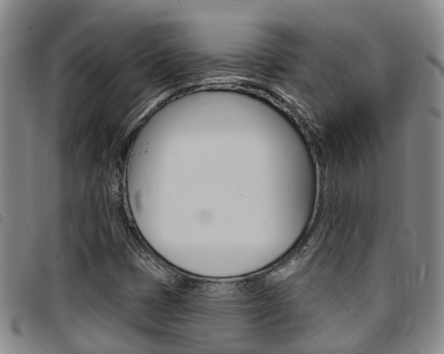 X0000097831401200803140817