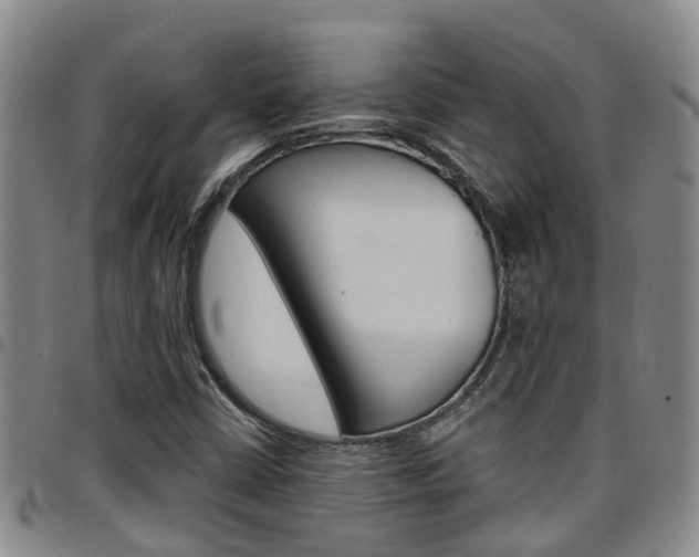 X0000097831402200803140817