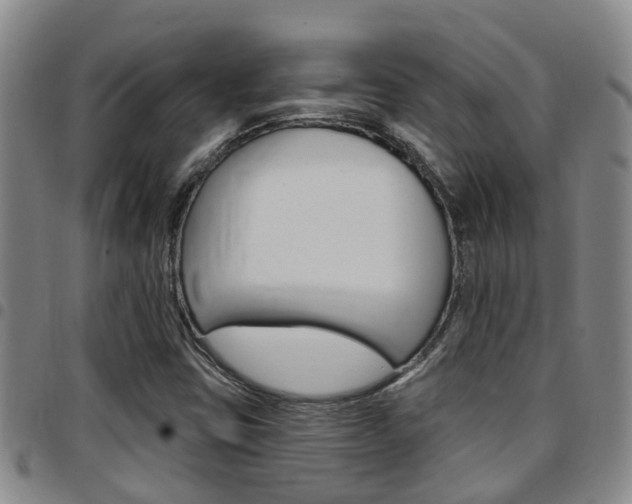 X0000097831403200803140817