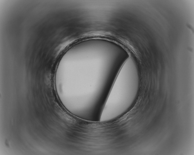 X0000097831404200803140817