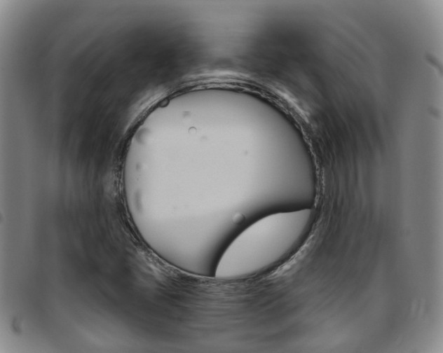 X0000097831405200803140817