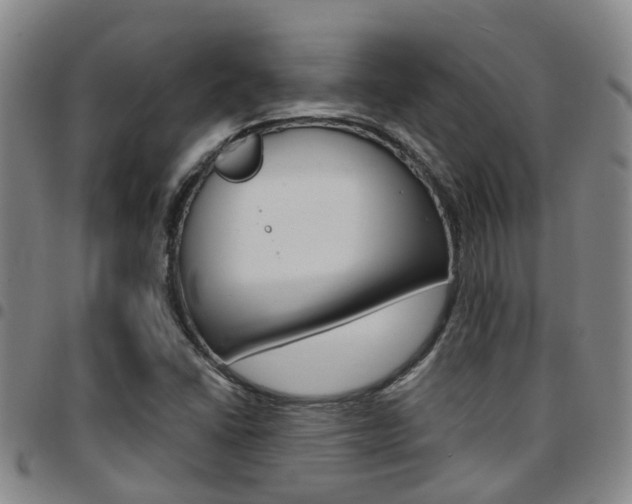 X0000097831406200803140818