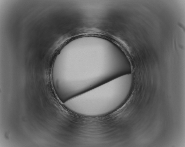 X0000097831407200803140818